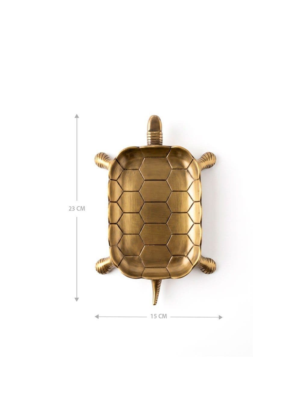 BANDEJA TORTUE