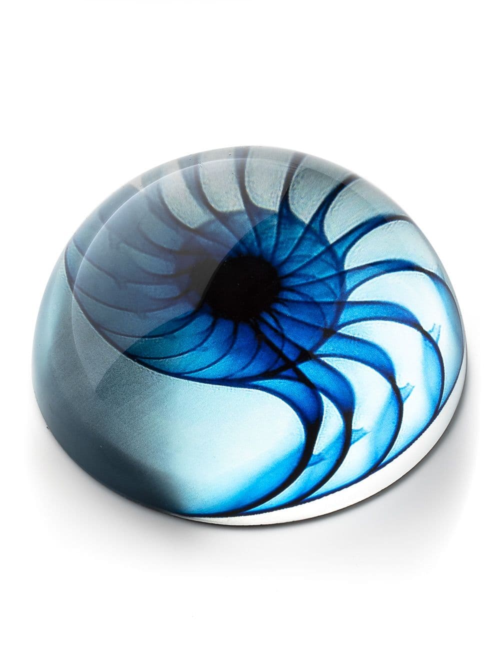 PISAPAPELES SHELL BLUE