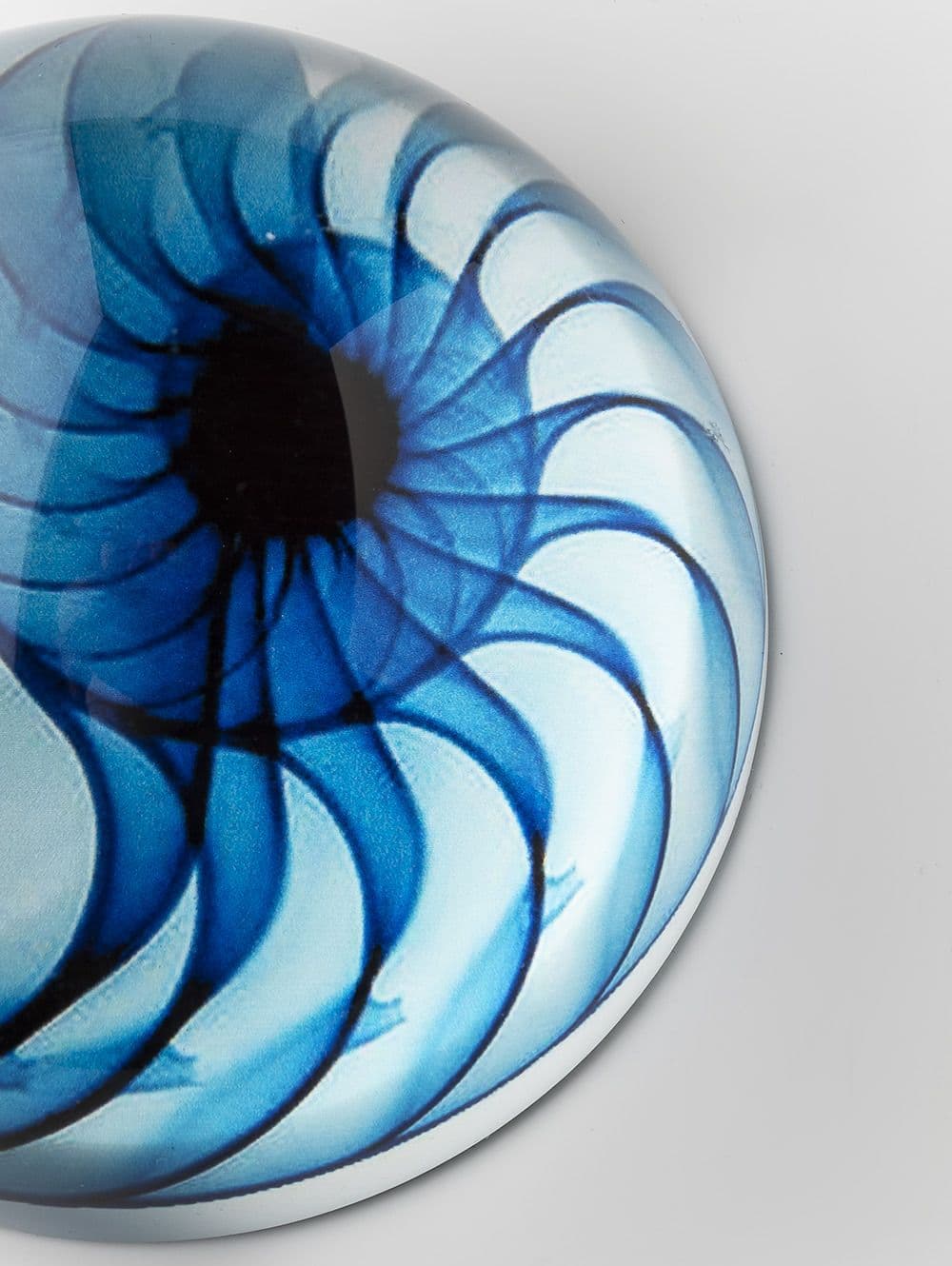 PISAPAPELES SHELL BLUE