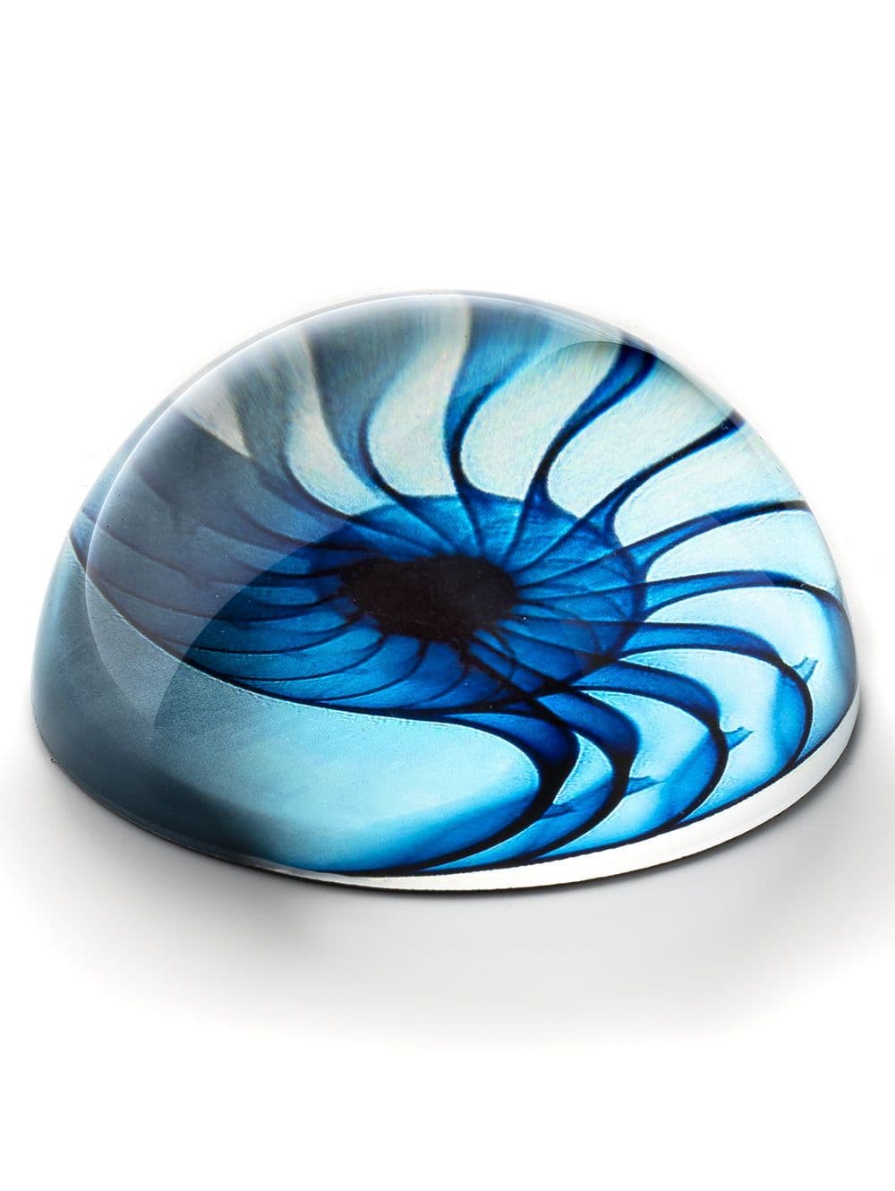 PISAPAPELES SHELL BLUE