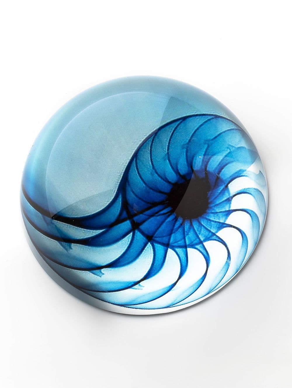 PISAPAPELES SHELL BLUE