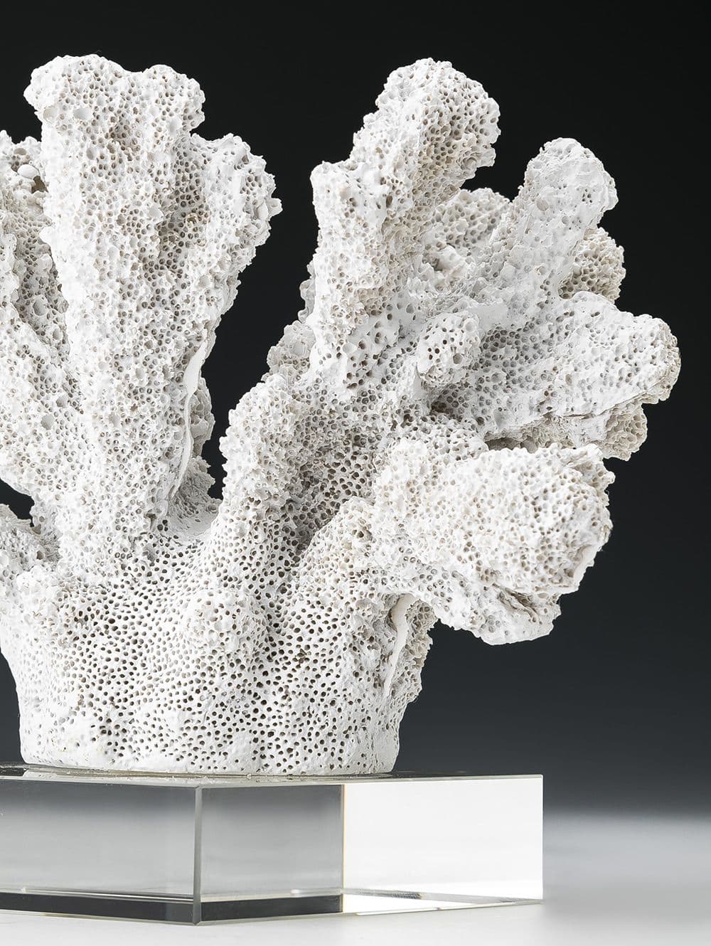 CORAL DEMILO WHITE CON BASE
