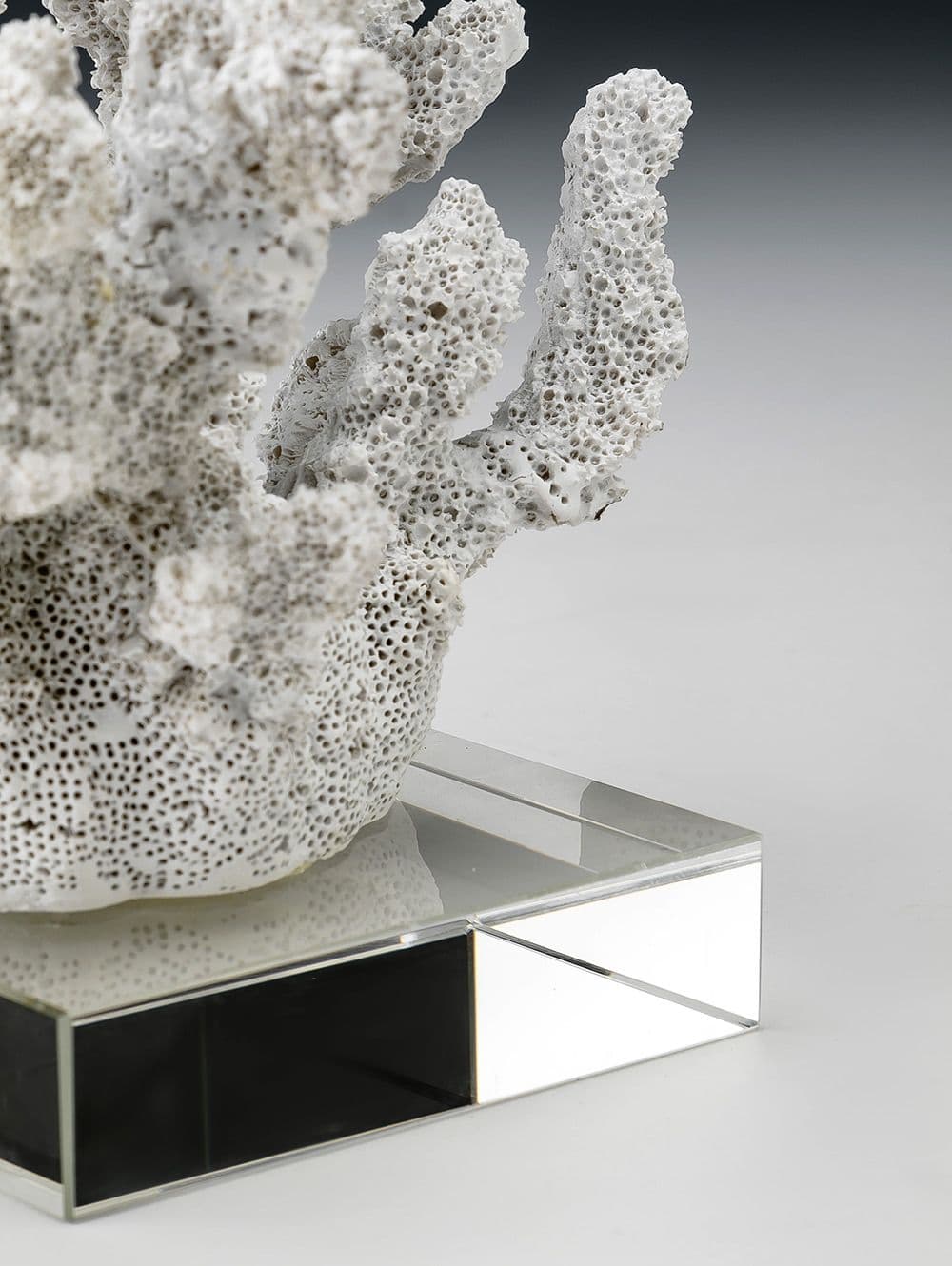 CORAL DEMILO WHITE CON BASE