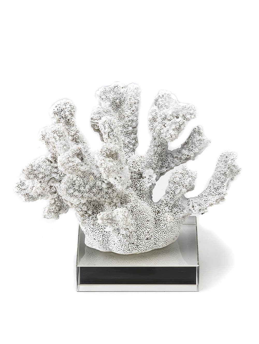 CORAL DEMILO WHITE CON BASE