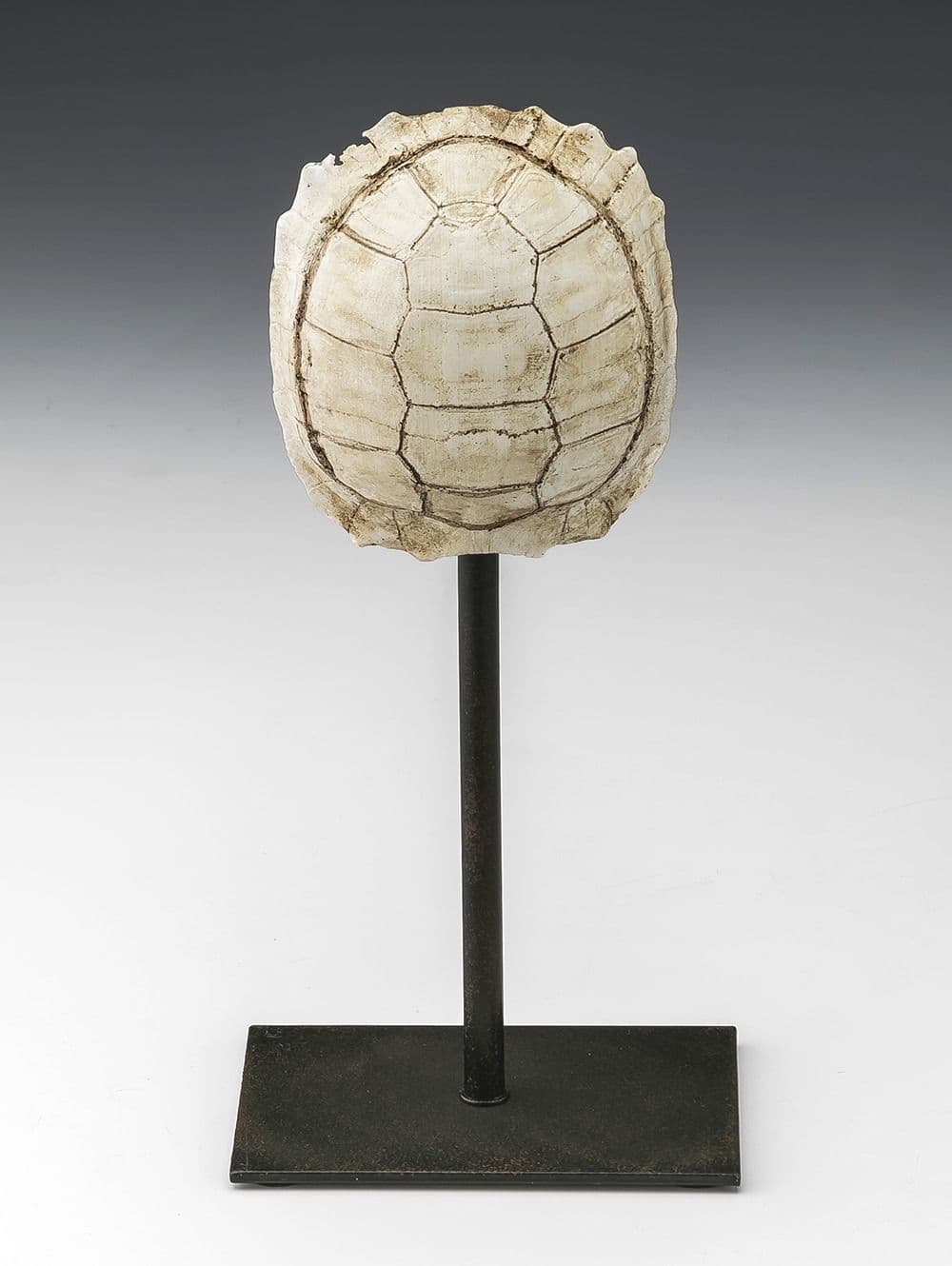 ADORNO TURTLE BLANCA